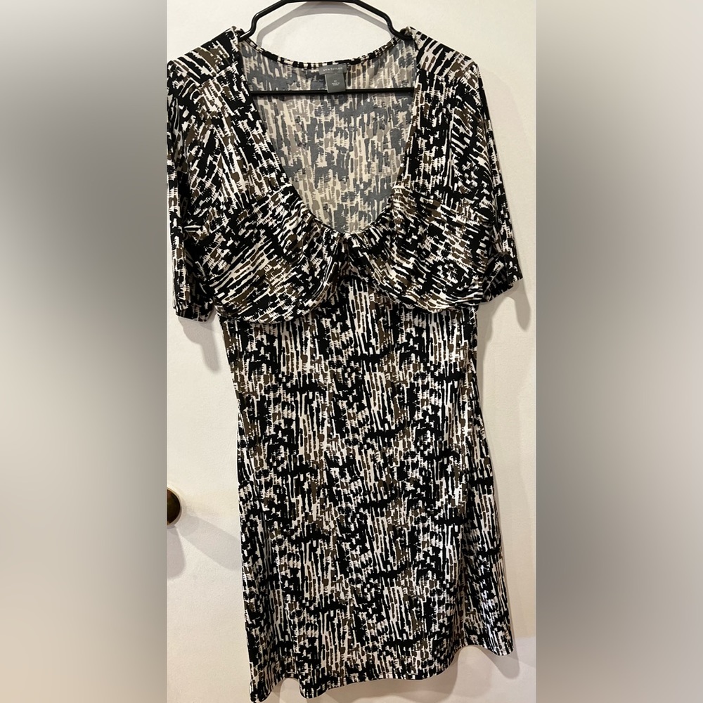Ann Taylor Dress